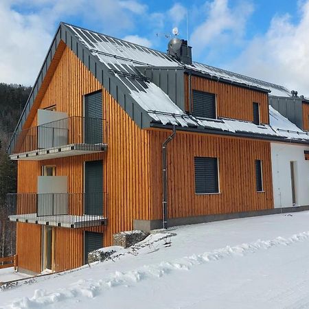 Apartman08 Dolní Morava Dış mekan fotoğraf